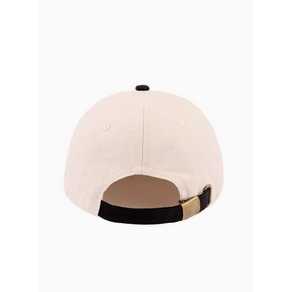 Star & Floral Stripe American Flag Hat || Black