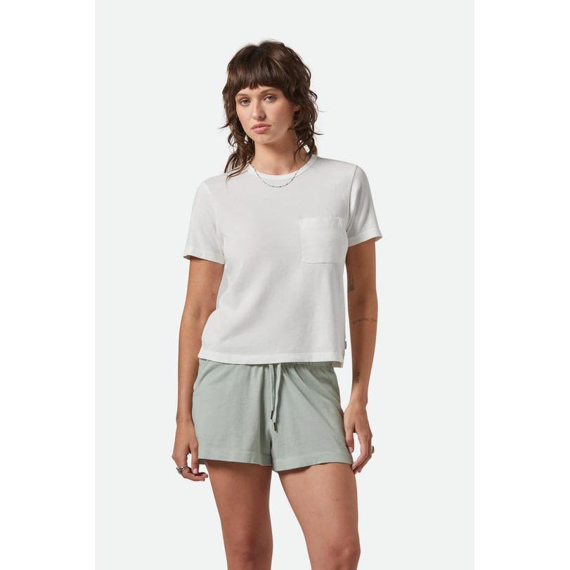 Brixton Organic Perfect Tee
