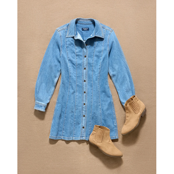 Flag & Anthem Bloomfield Stretch Denim Dress