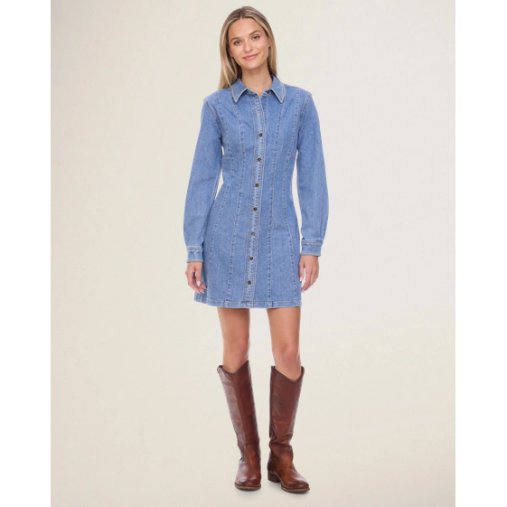 Flag & Anthem Bloomfield Stretch Denim Dress