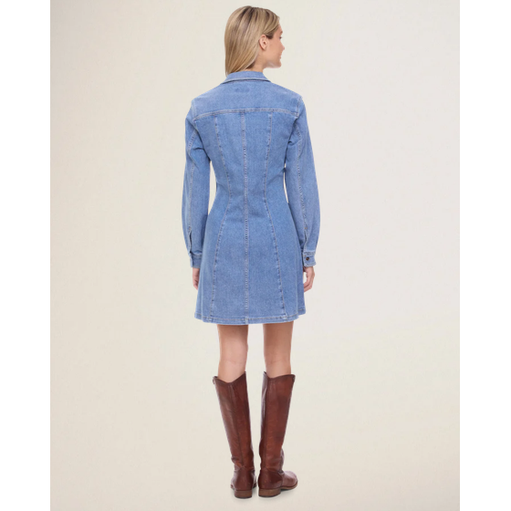 Flag & Anthem Bloomfield Stretch Denim Dress