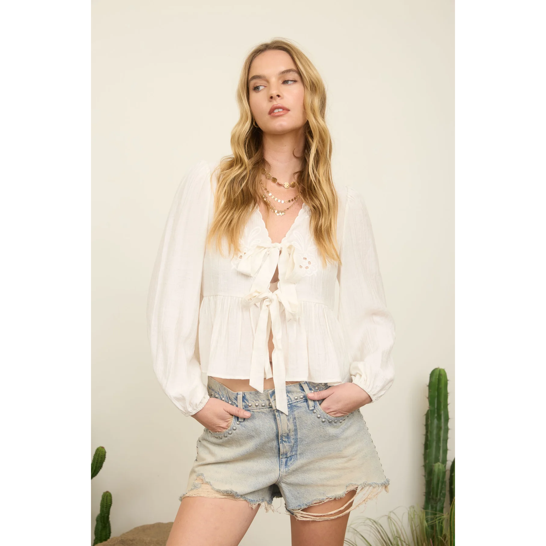 Eyelet Embroidery top