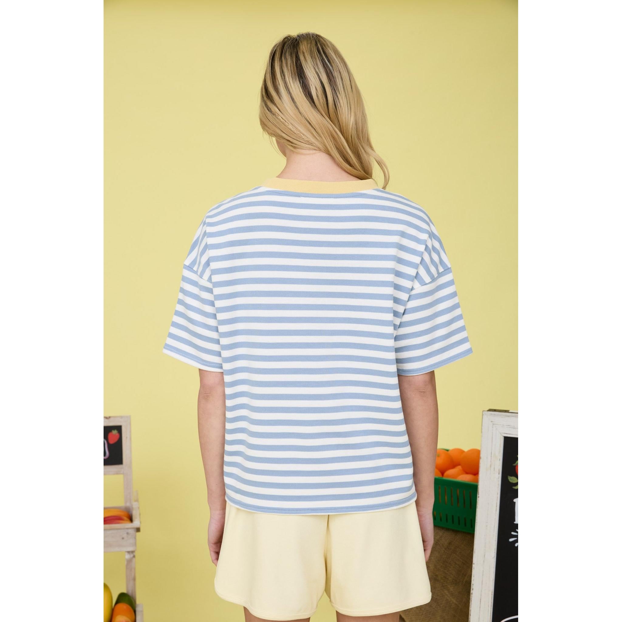 Stripe Short Sleeve Knit T-shirt || Dusty Blue Multi